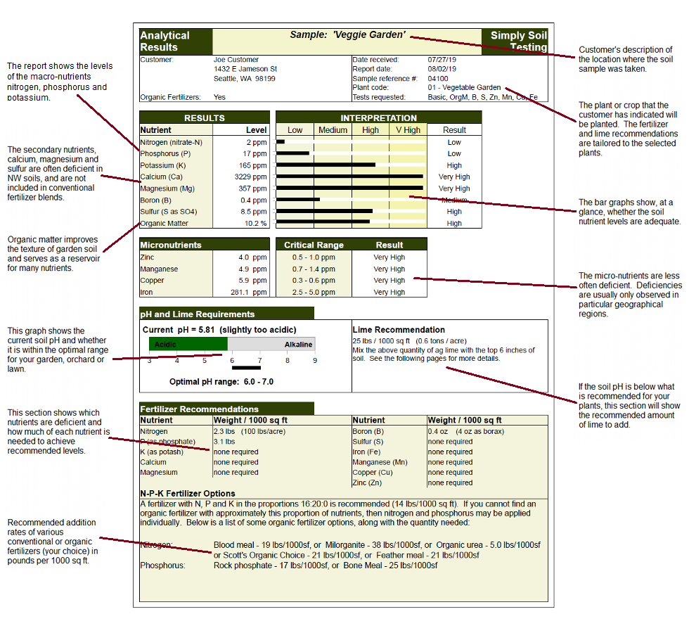 sample soil test report