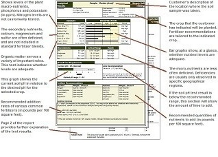 sample soil report